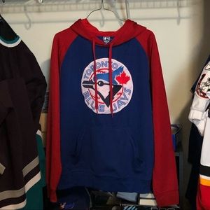 Toronto Blue Jays stitched crest hoodie